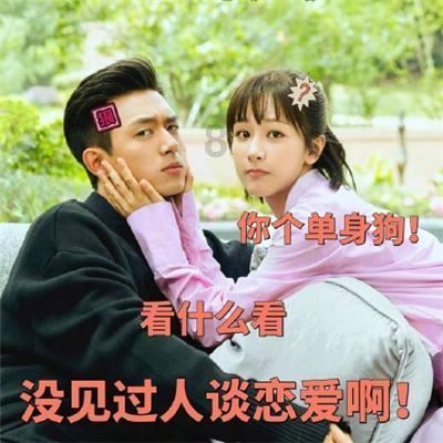 哈哈体育